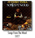 Songs From The Wood